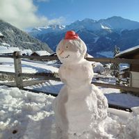 Magnifique chalet à Verbier