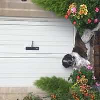 La maison de Susan