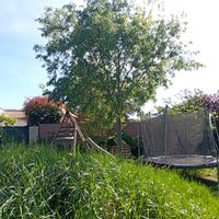 maison avec grand jardin