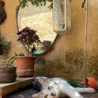 La maison de Alice & Silvia