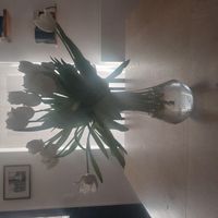La maison de Ingrid