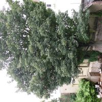 La maison de Niccolo
