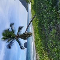 Le paradis de Mimi