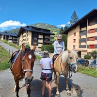 Appartement confortable avec piscine et balcon–proche des pistes de ski, Morgins, Portes du Soleil