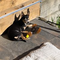 La maison de CATHERINE