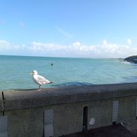 P'tite maison de pêcheur