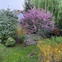 Maisonnette avec grand jardin à Genève et vélos à disposition Frais de ménage 50 euros