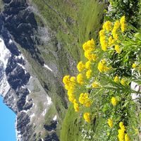 Appratement belles prestations dans chalet neuf valmeinier village