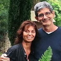 Écrin de verdure au coeur des festivals provençaux