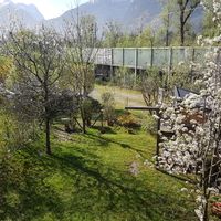 La maison de Riki