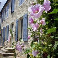 La maison d' Albane / Albane's home sweet home