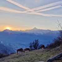 Petit nid douillet à la montagne