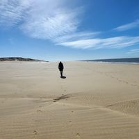 Entre Bordeaux et le Bassin d'Arcachon