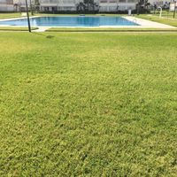 Vue Piscine – Appartement Balnière en Bord de Plage