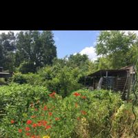 La maison de Cécilia. Une maison landaise sur un terrain de 1000 m2. Proche de la gare de Cadaujac.