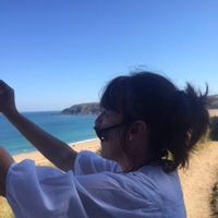 France _ Bretagne : Brocéliande / Dispo février 2026 - BAISSE GP ou échange non simultané