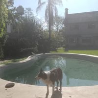 La maison de Gaby