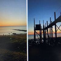 Studio calme et  indépendant au bord de la mer à 10 km de La Rochelle et de l'Ile de Ré.