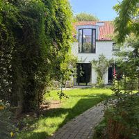 A little Oasis in Brussels