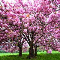 Maison de campagne proche de la mer