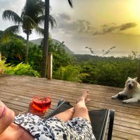 Maison Créole vue mer au cœur de la végétation en Guadeloupe