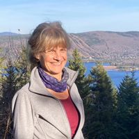Le nid de la Chouette avec accès au lac