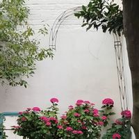 Villa Désirée, grande maison familiale de ville avec petit jardin à 6 min à pied de la plage !