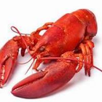 La maison du homard