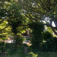 La maison de emily