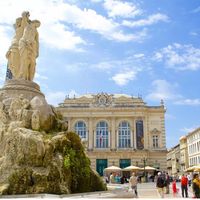 Tramway très proche, parking privé , jardin arboré, à 10 min de la comédie et 15 min des plages.