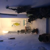 La maison de Kristiana