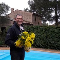 La maison de David