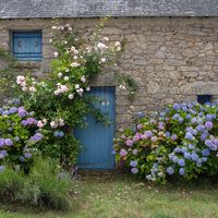 La maison de Suzanne