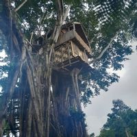 La maison de Joel