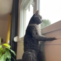 Bienvenue à la maison
