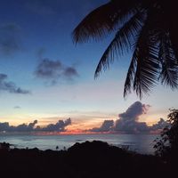 Studio vue mer, à 400m. de la plage (chambre/cuisine/SDB)