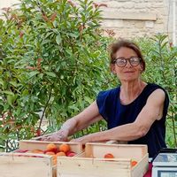 La Maison Jollion en Provence  - Entre Arles et Avignon
