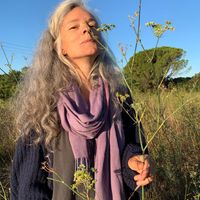 Yourte à la campagne