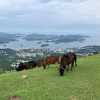Family duplex with quiet rooftop in Clearwater Bay Hong Kong - Hiking & beaches