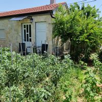 La maison de Zvonko