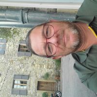 un olivier en provence