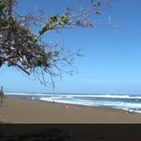 petit ilot de verdure en bord de mer