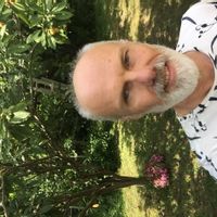 Un nid sur l'Isle