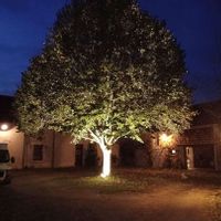 La dépendance de Clémence et Vincent