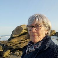 Échappée iodée à Lilia-Plouguerneau : notre maison en bois vous attend !