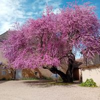 Maison au calme dans un lotissement, située proche de la mer et de la forêt
