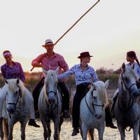 Maison en pleine campagne idéal famille ou amis. Proche Aigues-Mortes, plages et Camargue.