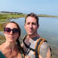 Le cocon perché entre océan et bassin