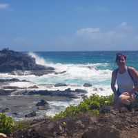 Soleil, mer et cigales