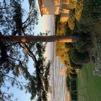 Au calme de son impasse privée, à 50 M de la mer, 6 km du charmant village de PORNIC